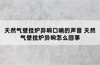 天然气壁挂炉异响口哨的声音 天然气壁挂炉异响怎么回事